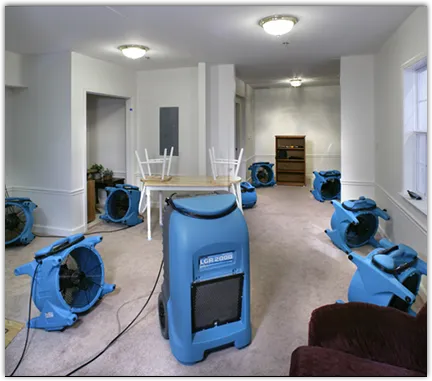 Flood Damage Cleanup in Pine Hills, FL
