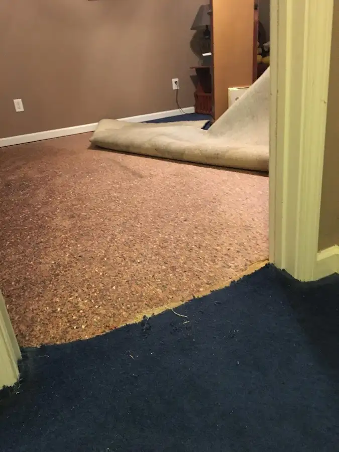 Carpet pad removal revealing water damage during Drying & Dehumidification in Pine Hills