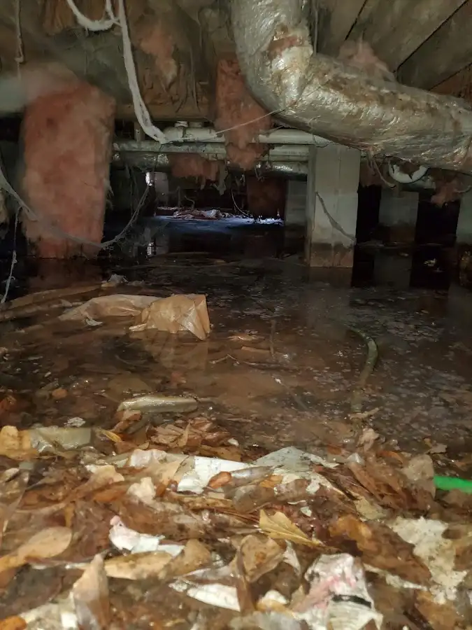 Crawl space flood assessment for Leak Detection & Repair in Pine Hills