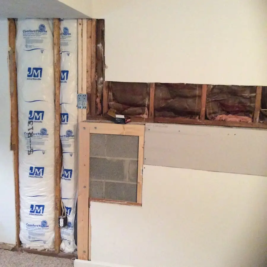 Wall insulation replacement during Structural Drying in Pine Hills